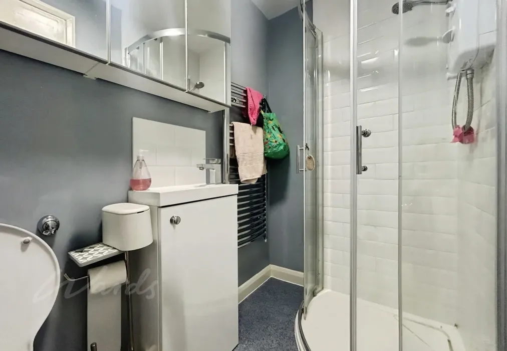 shower room - Commercial Road Paddock Wood TN12 - Wards of Kent