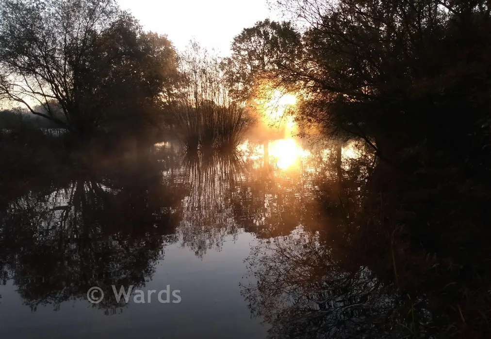 Lifestyle - Waterman Quarters, Headcorn, Ashford, Kent - Wards of Kent