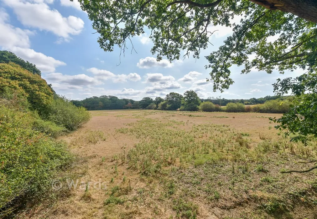 Rear Garden - Waterman Quarters, Headcorn, Ashford, Kent - Wards of Kent
