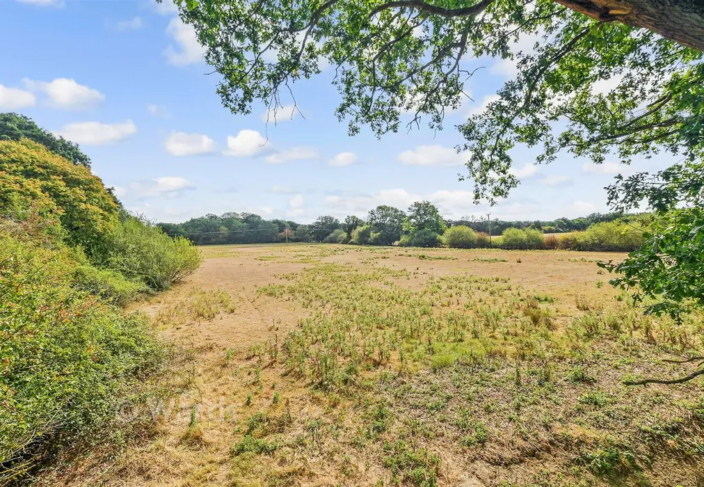 Rear Garden - Waterman Quarters, Headcorn, Ashford, Kent - Wards of Kent