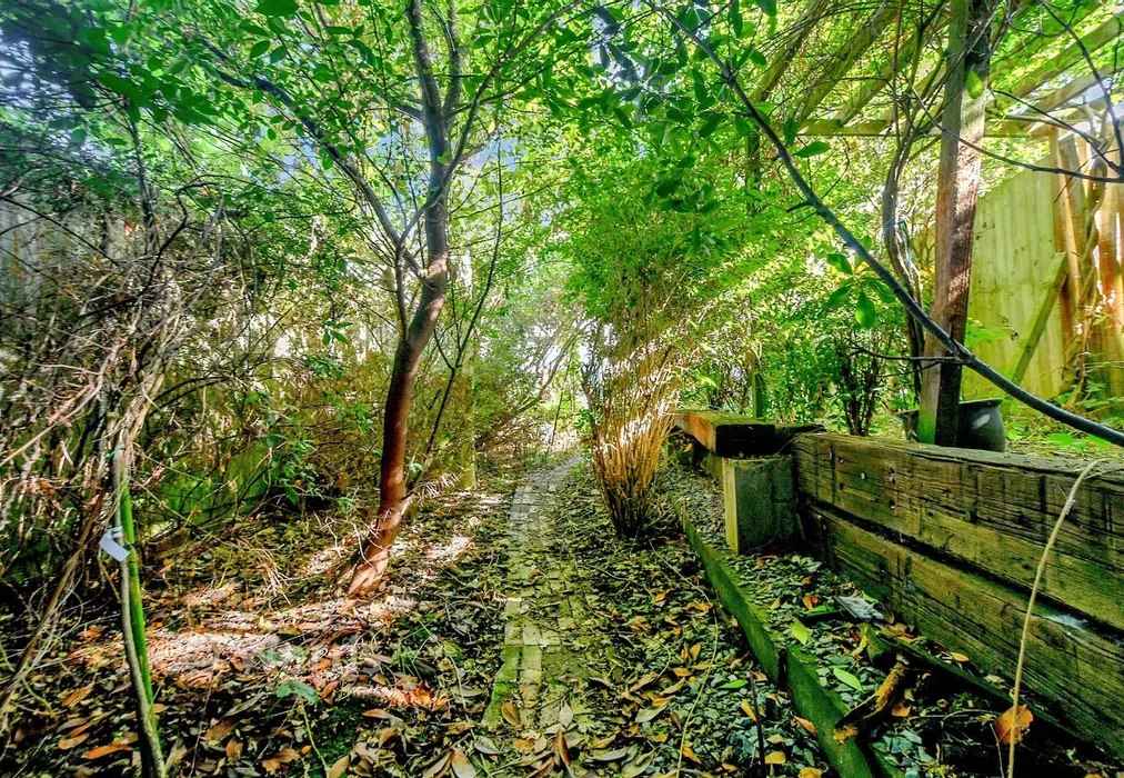 Rear Garden - Godinton Road, Ashford, Kent - Wards of Kent