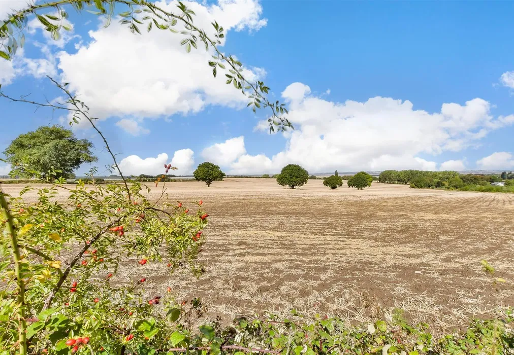 Views To Rear - Bysing Wood Road, Faversham, Kent - Wards of Kent