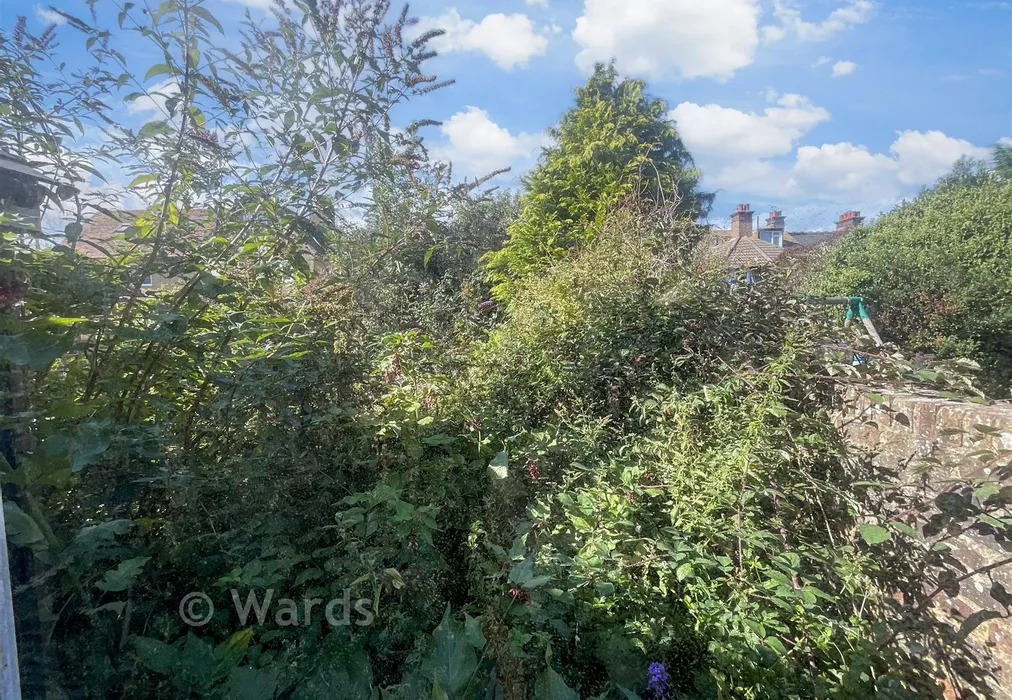 Rear Garden - Park Street, Deal, Kent - Wards of Kent
