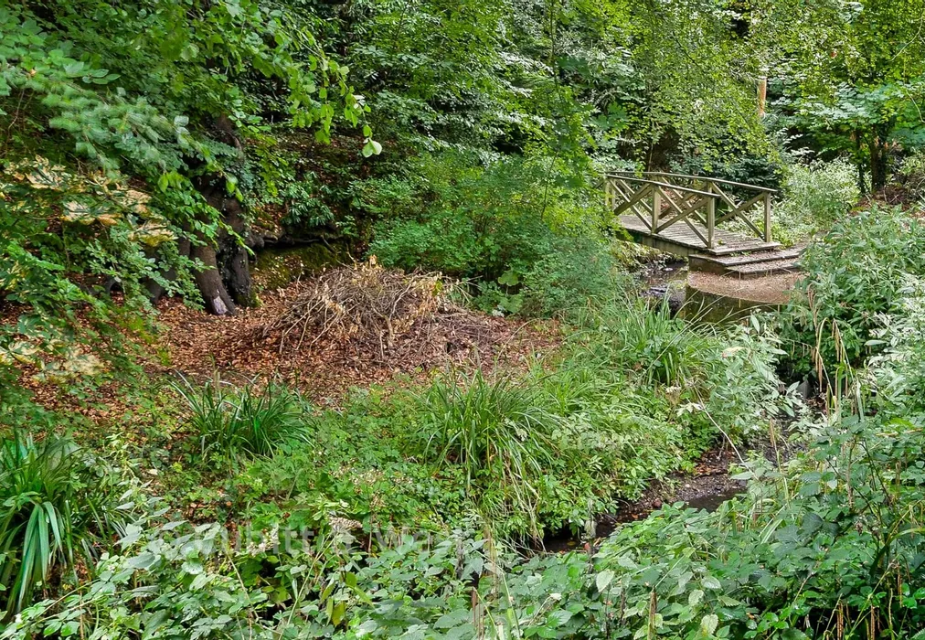 Rear Garden - Woodhurst Park, Oxted, Surrey - Wards of Kent