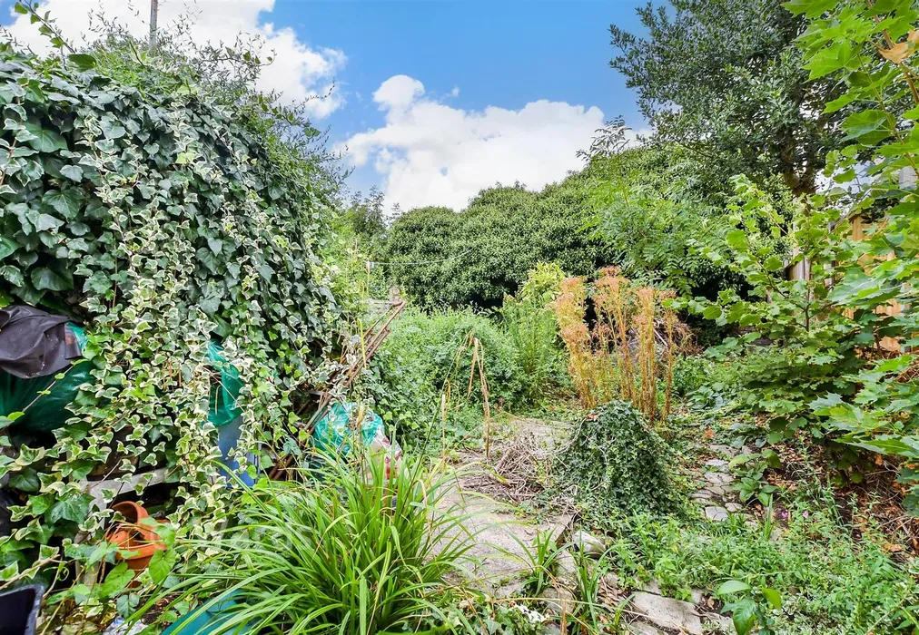 Rear Garden - Tufton Street, Maidstone, Kent - Wards of Kent