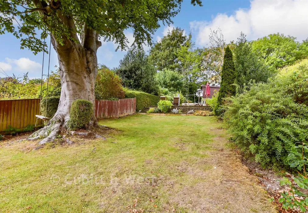 Rear Garden - Winfield Avenue, Brighton, East Sussex - Wards of Kent