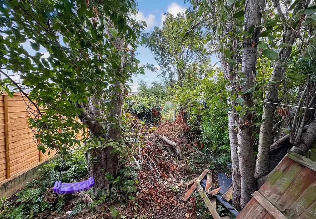 Garden - Rumfields Road, Broadstairs, Kent - Wards of Kent