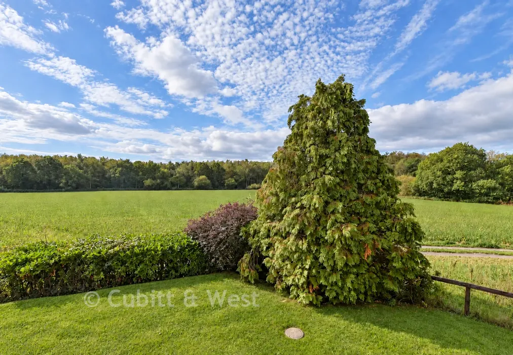 Rear Views - South Street, East Hoathly, East Sussex - Wards of Kent