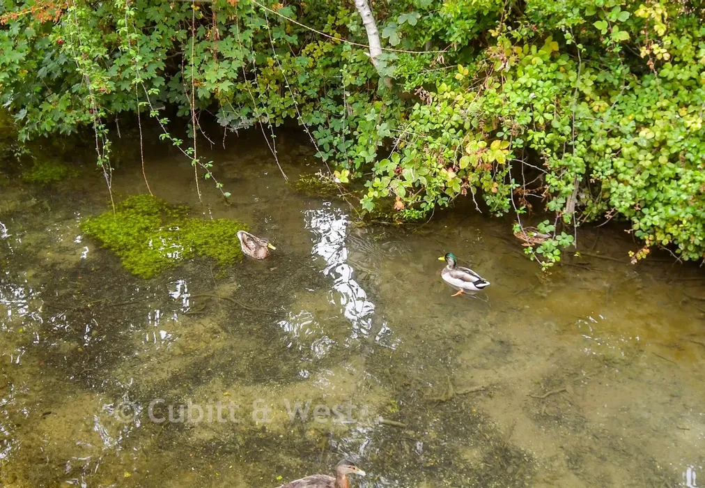 External Lifestyle Photograph - Thornlea Court, Thornlea Park, West Sussex - Wards of Kent