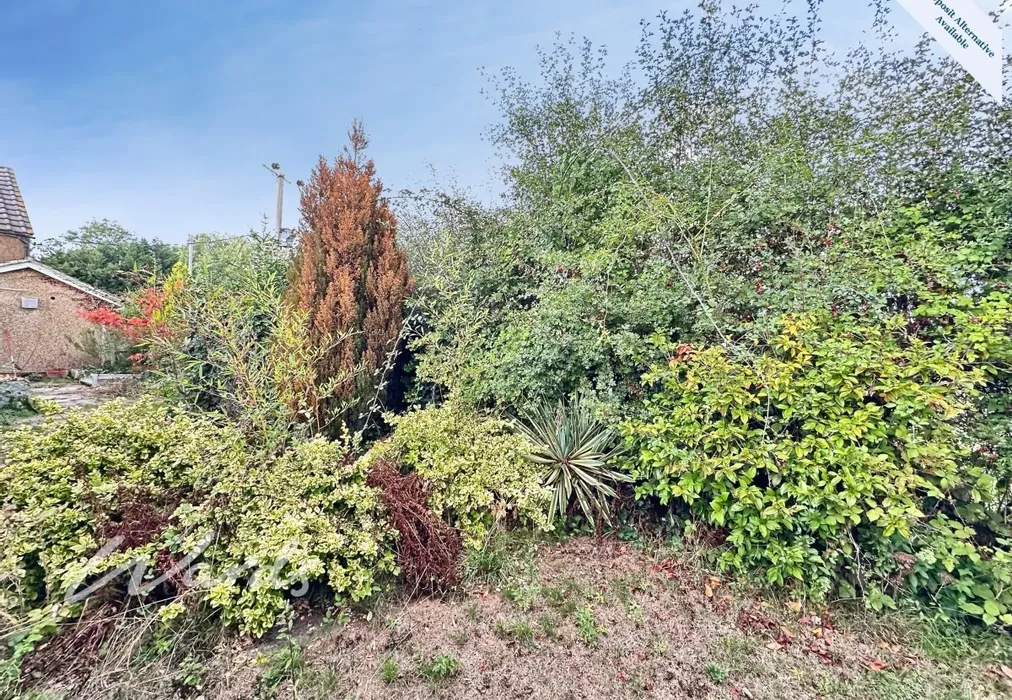 Garden - Howland Road Marden TN12 - Wards of Kent