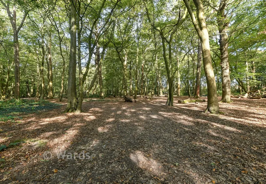 Surrounding Area - Poppy Mead, Ashford, Kent - Wards of Kent