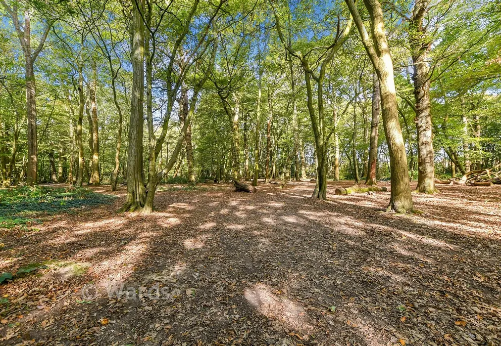 Surrounding Area - Poppy Mead, Ashford, Kent - Wards of Kent
