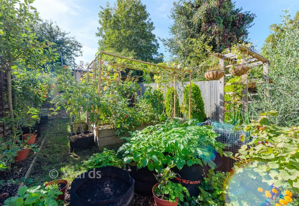 Rear Garden - Westmount Avenue, Chatham, Kent - Wards of Kent