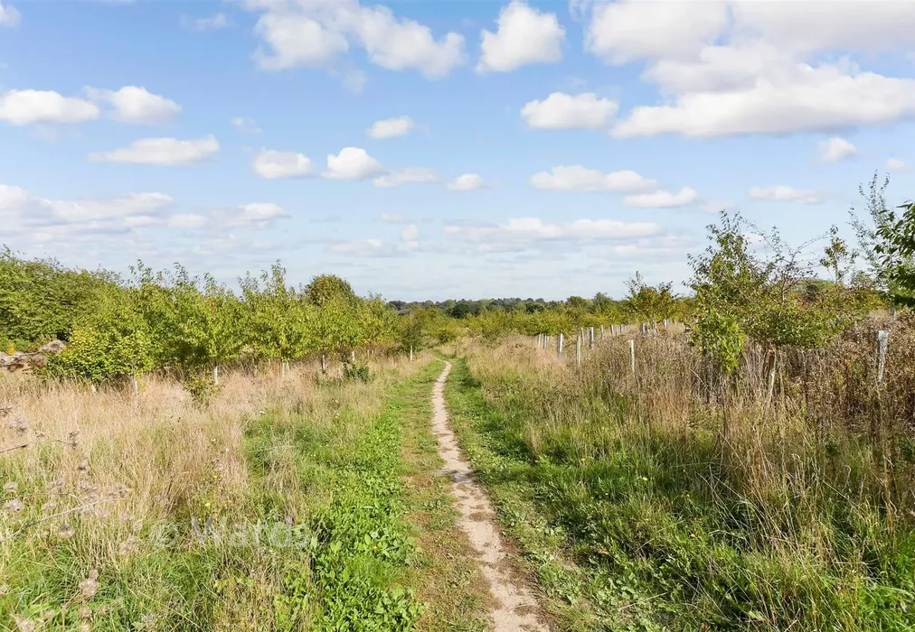Surrounding Area - Linton Road, Loose, Maidstone, Kent - Wards of Kent